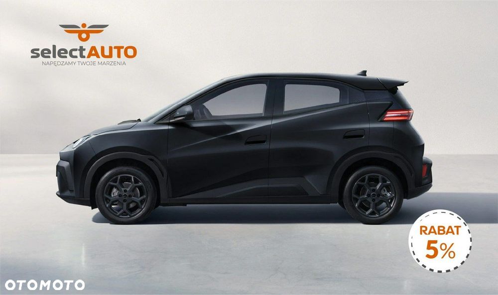 BYD Dolphin Surf - 2