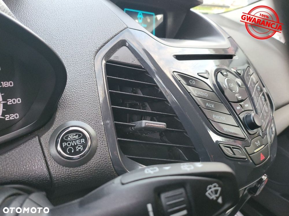 Ford EcoSport - 29