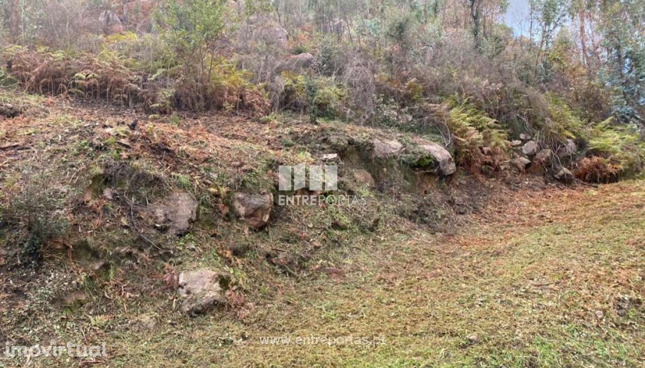 Venda Terreno, Penha Longa, Marco de Canaveses - Grande imagem: 3/25