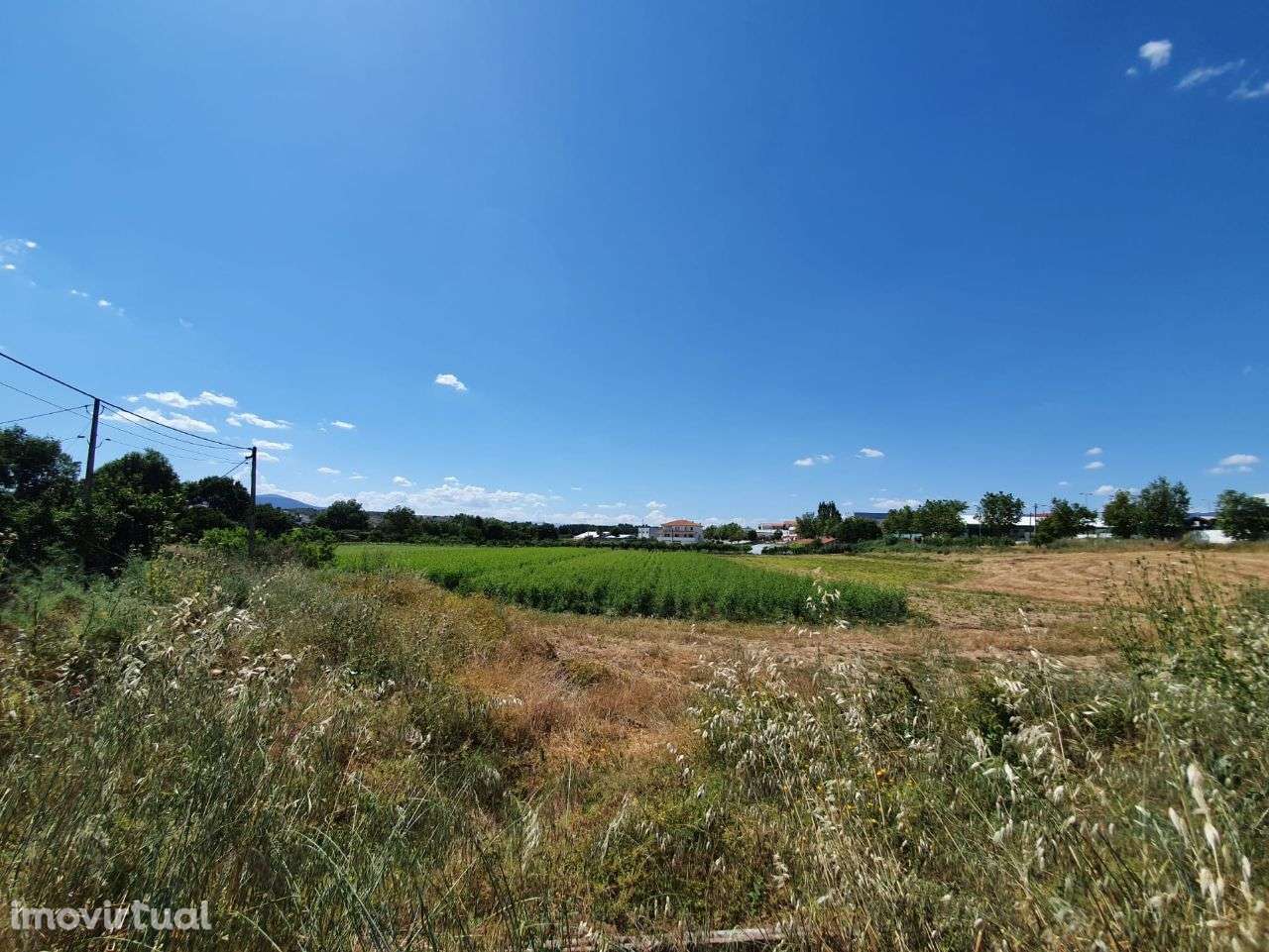 Vende terreno 1,5 hect Mirandela - Grande imagem: 5/22