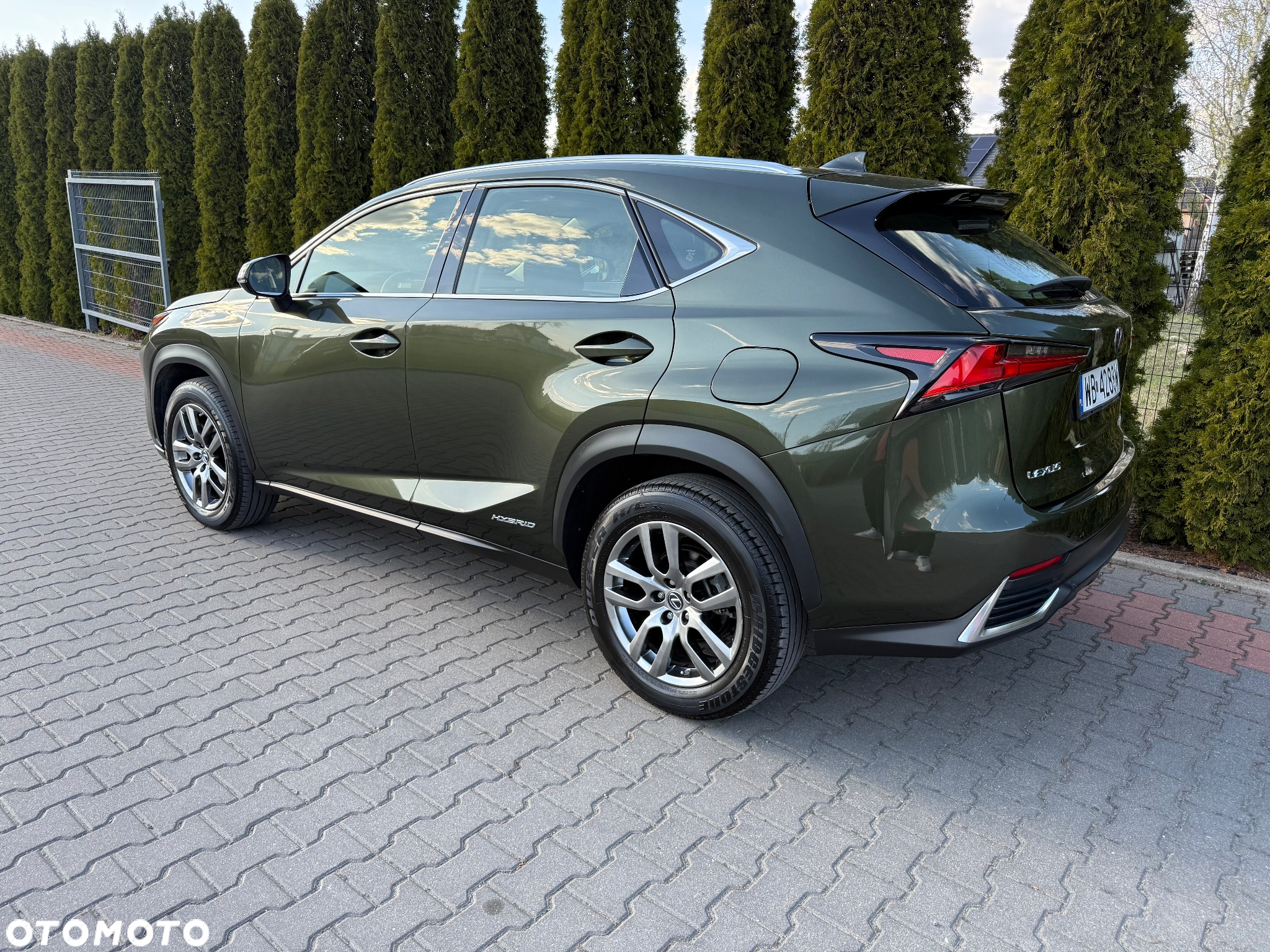 Lexus NX - 18