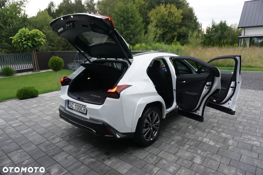 Lexus UX 250h GPF F Sport 2WD - 12