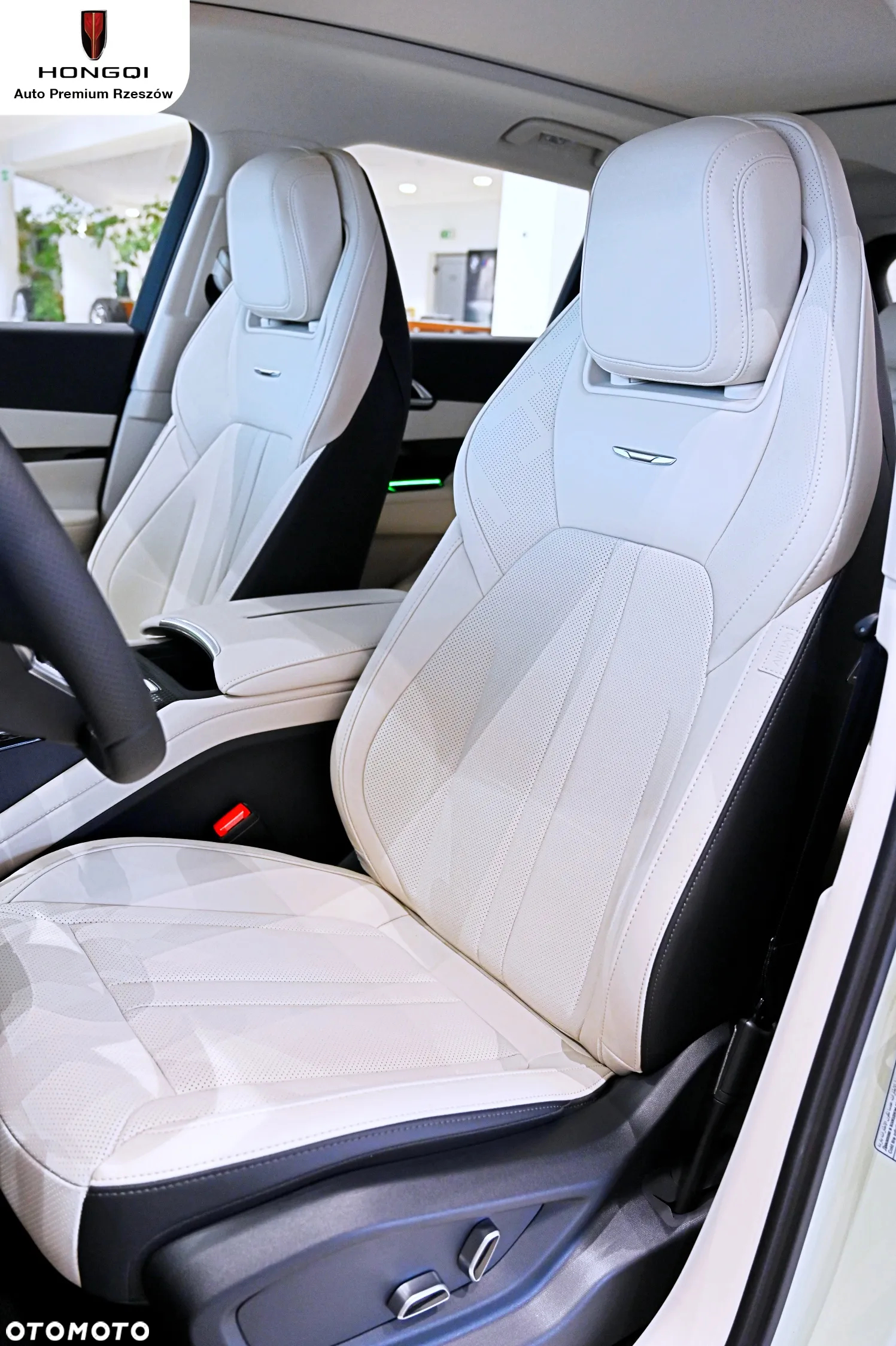 Hongqi HS3 - 16