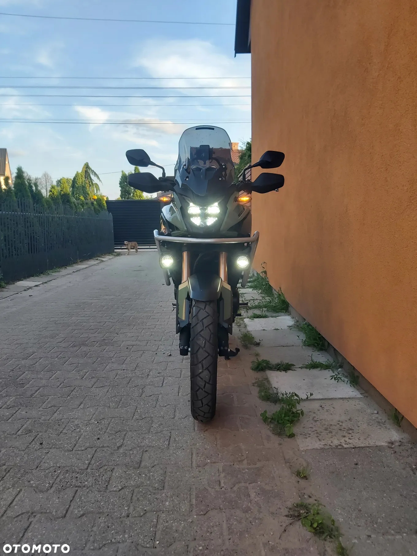 Honda Inny - 13
