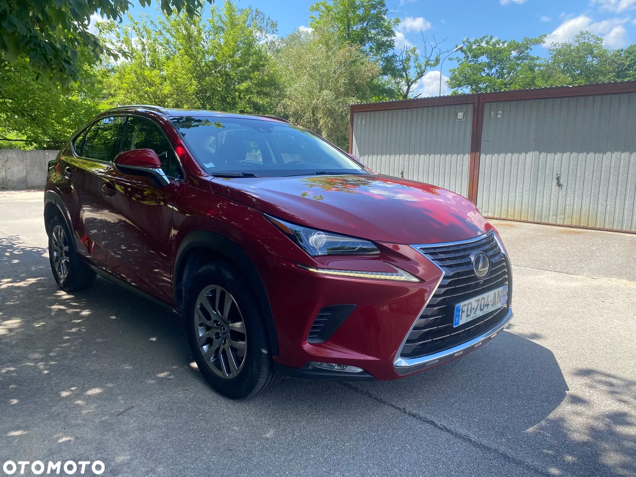 Lexus NX 300h Elegance AWD - 1