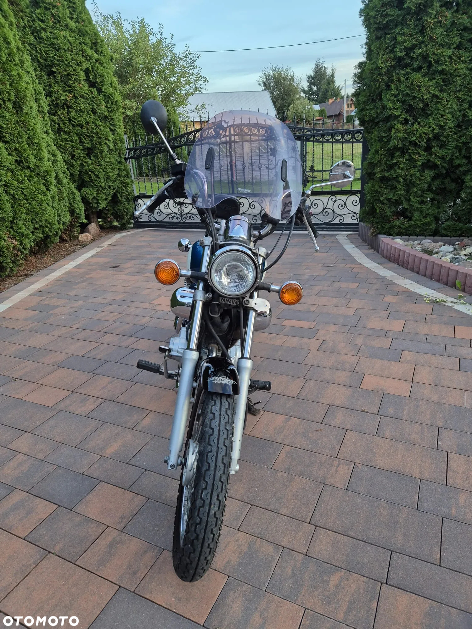 Yamaha Virago - 3