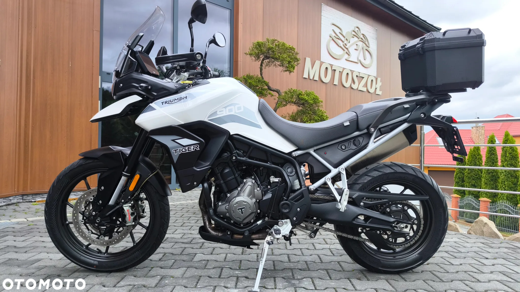 Triumph Tiger - 2