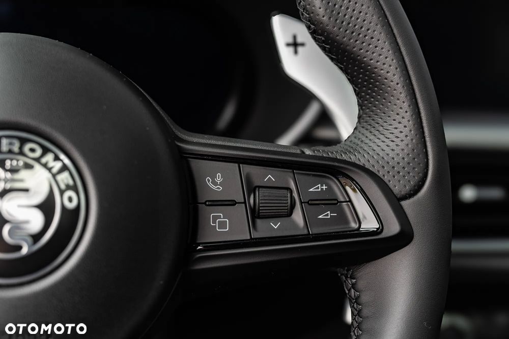 Alfa Romeo Stelvio 2.0 Turbo Veloce Q4 - 29