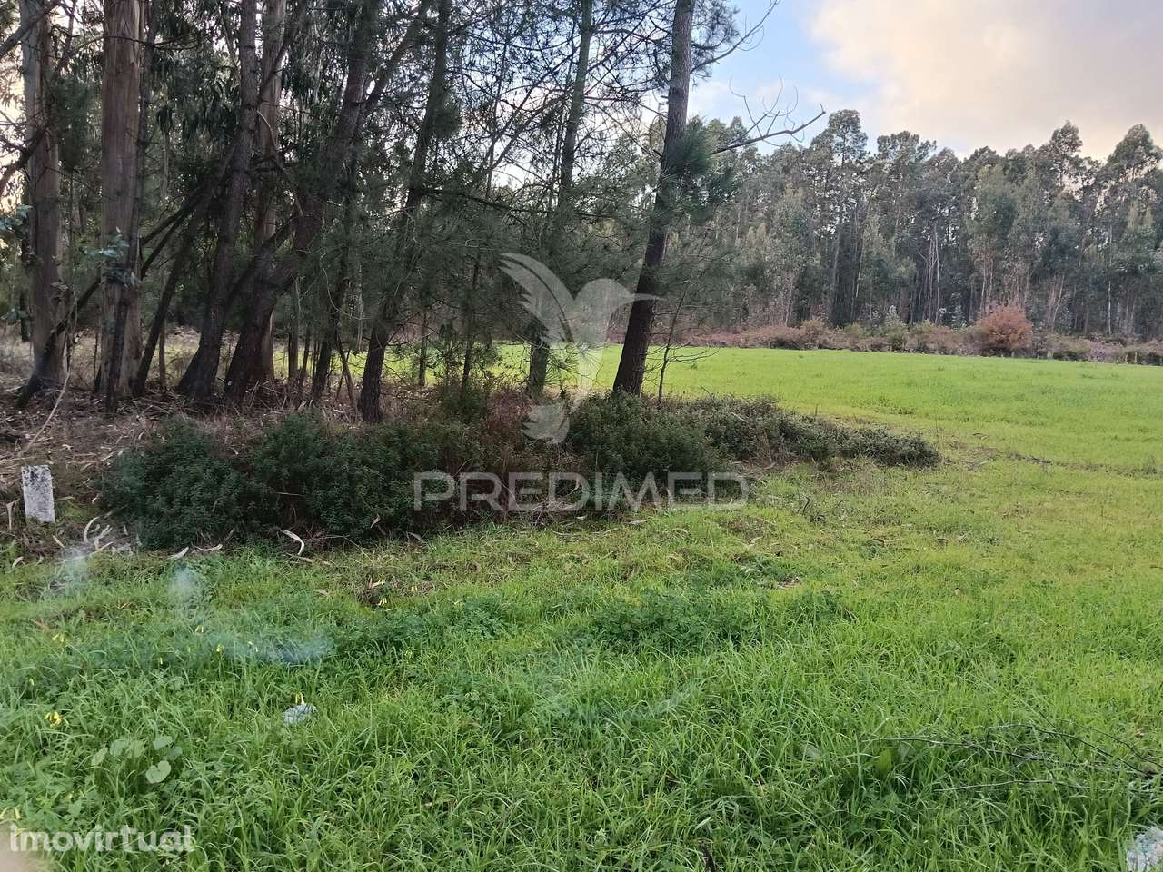 Terrenos à Venda em Santa Catarina, Vagos - Grande imagem: 2/4