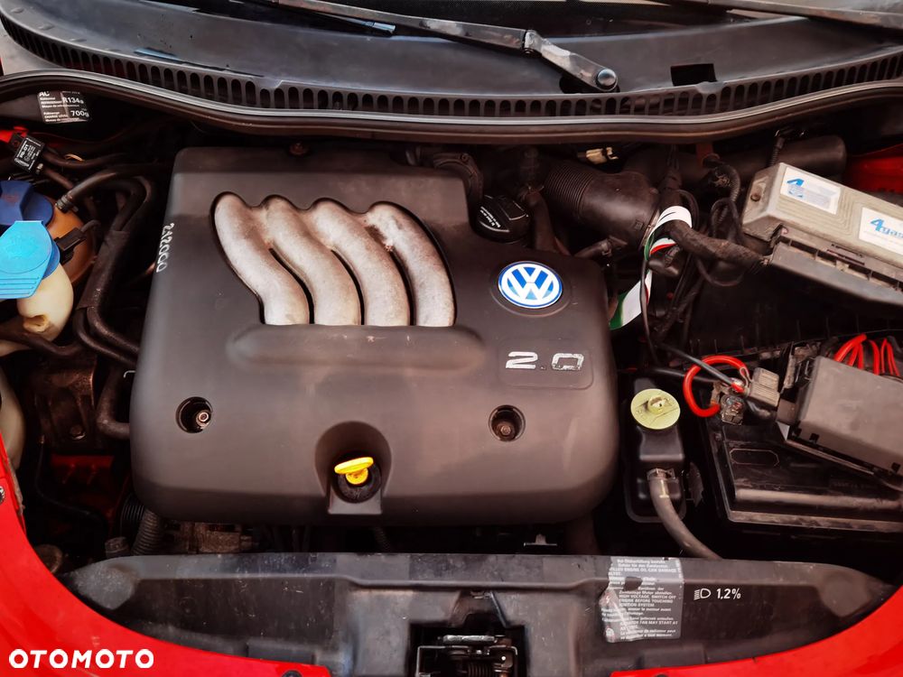 Volkswagen New Beetle - 37