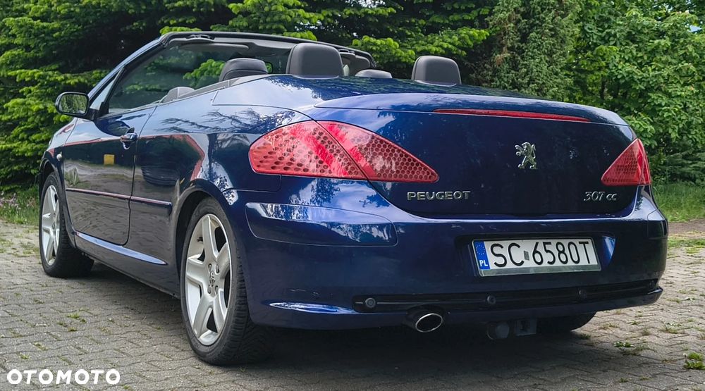 Peugeot 307 CC 2.0 - 21