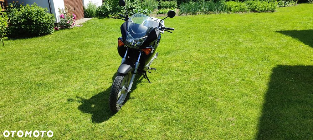 Honda Varadero - 6