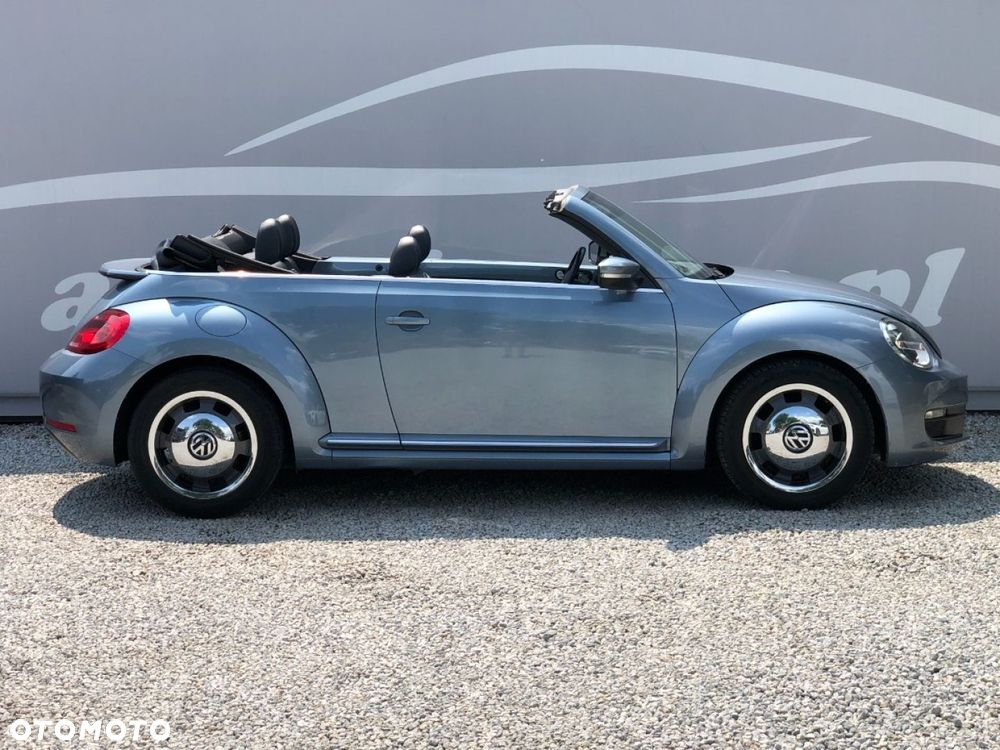 Volkswagen Beetle - 17