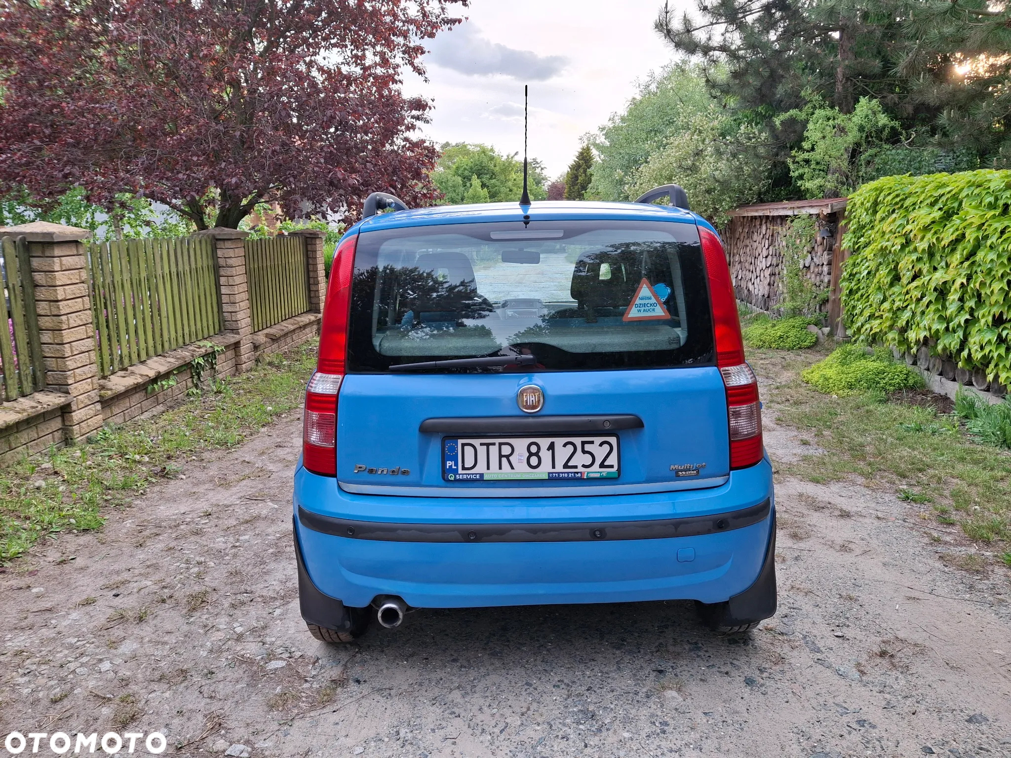 Fiat Panda 1.3 Multijet Dynamic - 5