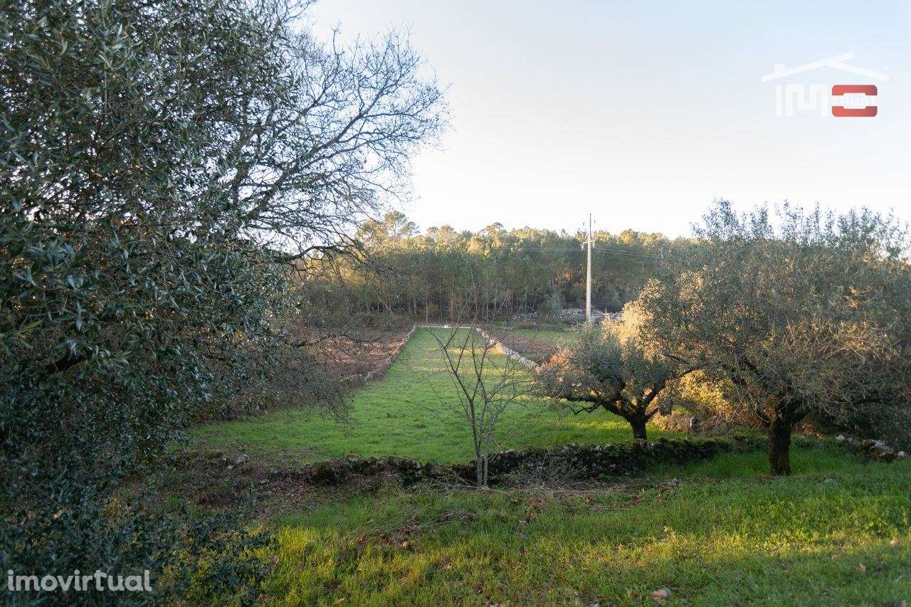 TERRENO RUSTICO COM AREA DE 640 M2 MUITO BEM LOCALIZADO EM CASAL VI... - Grande imagem: 5/7