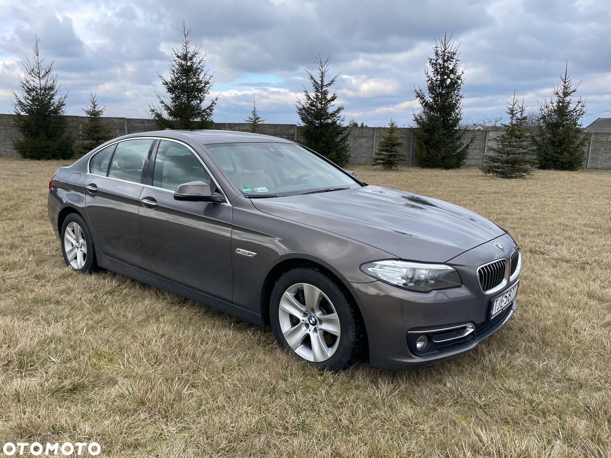 BMW Seria 5 530d xDrive Luxury Line - 1