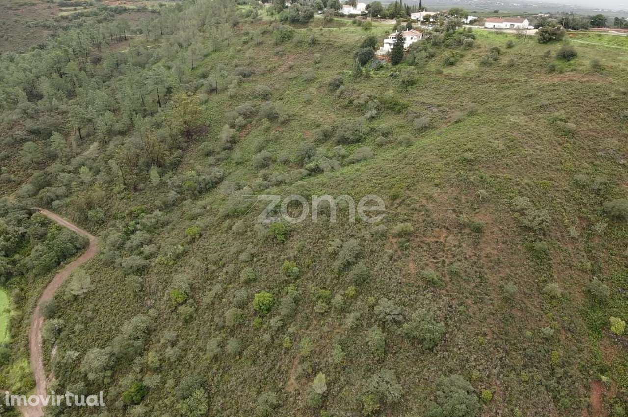 Dois Terrenos Rústicos c/ 4.680m2 em Ladeira da Cumeada - Grande imagem: 5/17