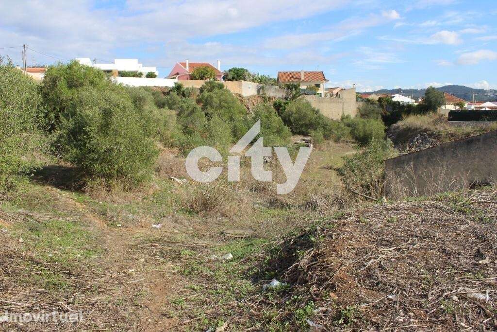 TERRENO 3.600 M2, MORELENA - SINTRA - Grande imagem: 3/38