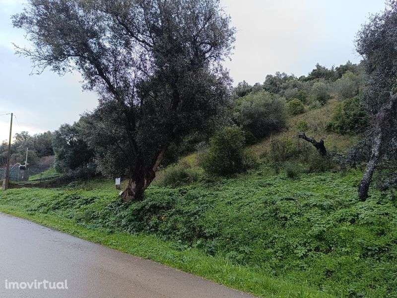 Vendo Terreno no campo - Grande imagem: 3/5