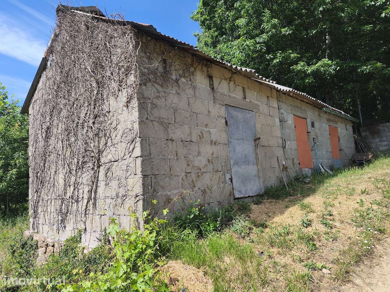 Terreno rústico de 5600m² com água e acesso não pavimentado - Grande imagem: 2/10
