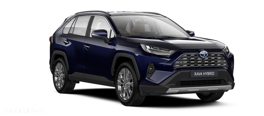 Toyota RAV4 2.5 Hybrid Executive 4x2 - 7