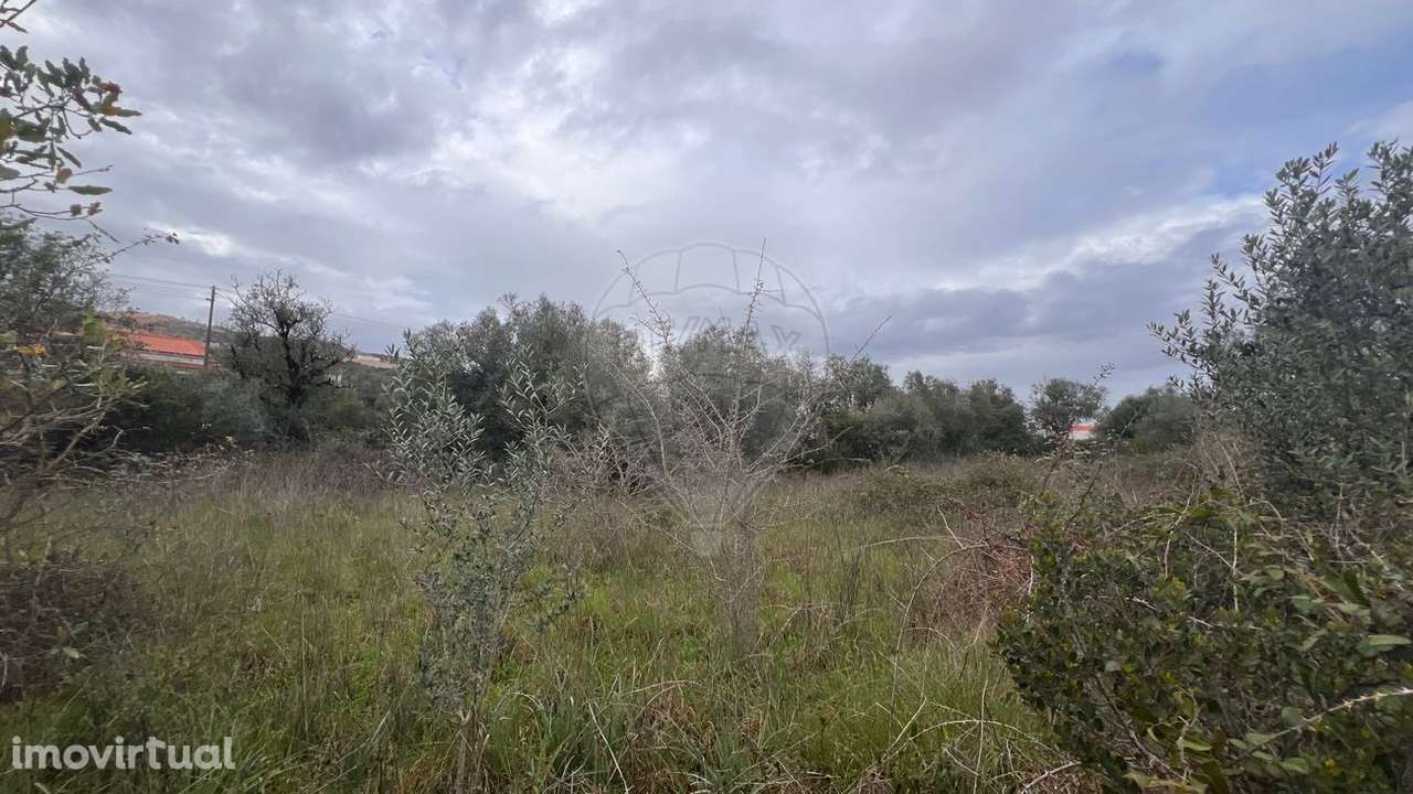 Terreno  para venda - Grande imagem: 5/6