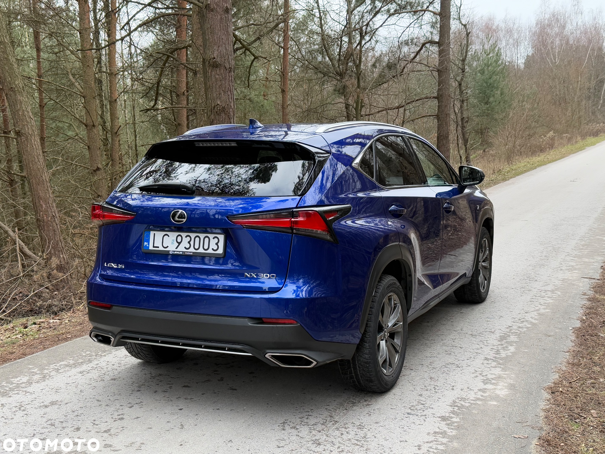Lexus NX 300 F Sport AWD - 9