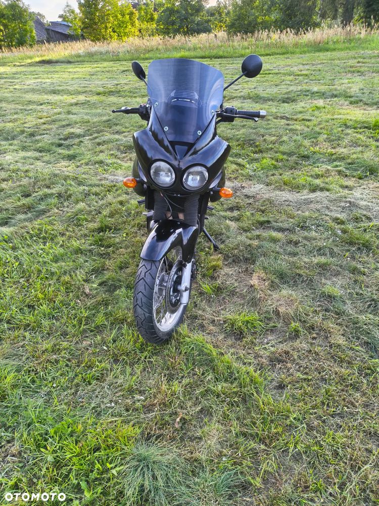 Triumph Tiger - 21