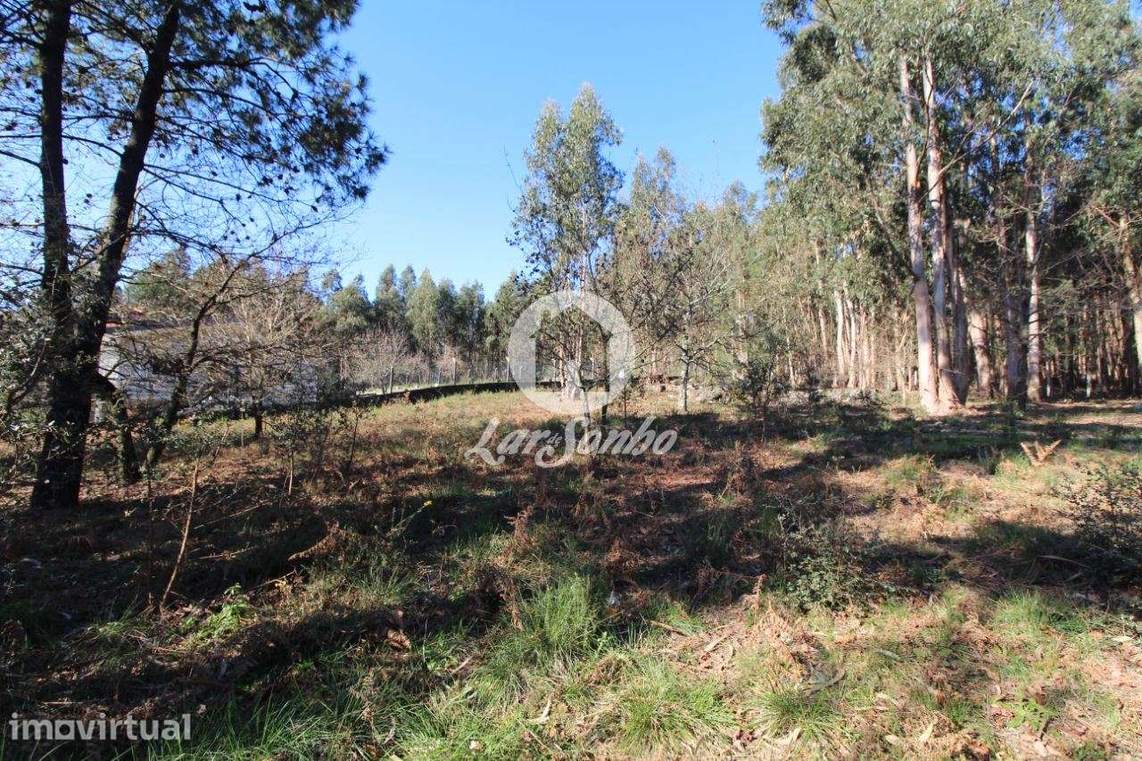 Terreno para construção com 5.000m2 em Vermoim - Grande imagem: 2/6