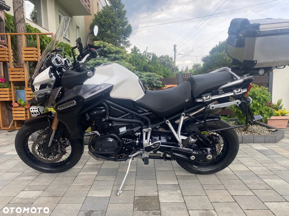 Triumph Tiger - 1