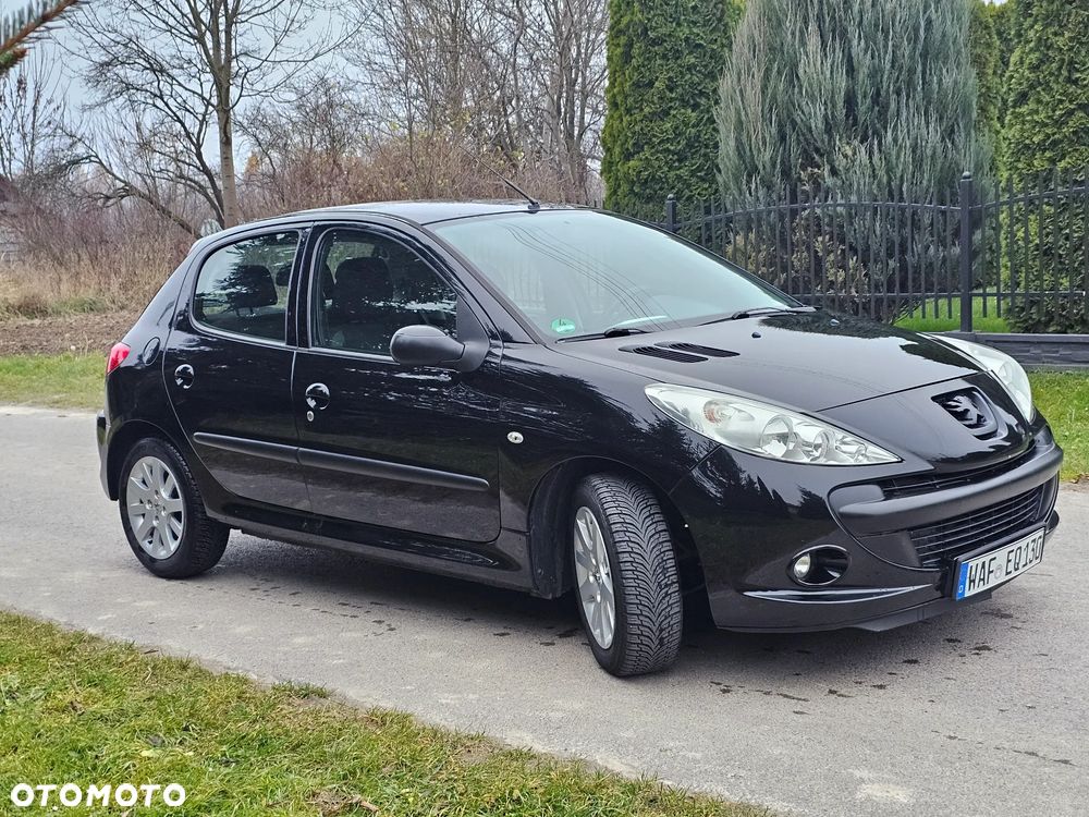 Peugeot 206 plus - 26