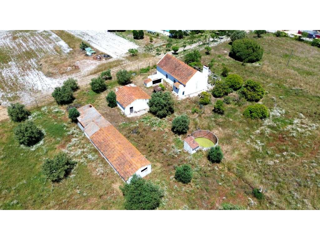 Quinta para Renovar em Grândola - Grande imagem: 2/20