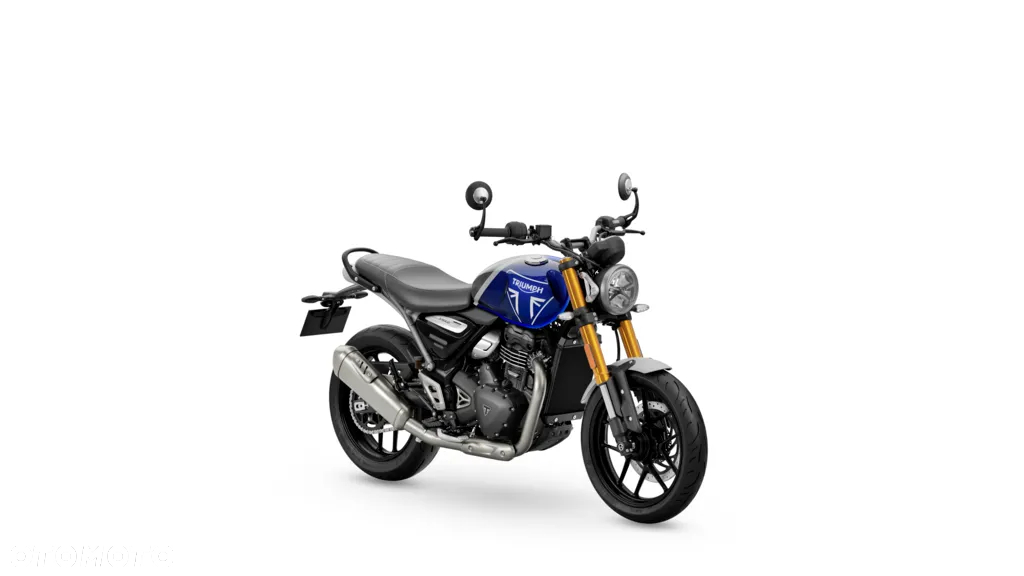 Triumph Inny - 14