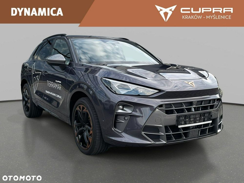 Cupra Terramar - 4