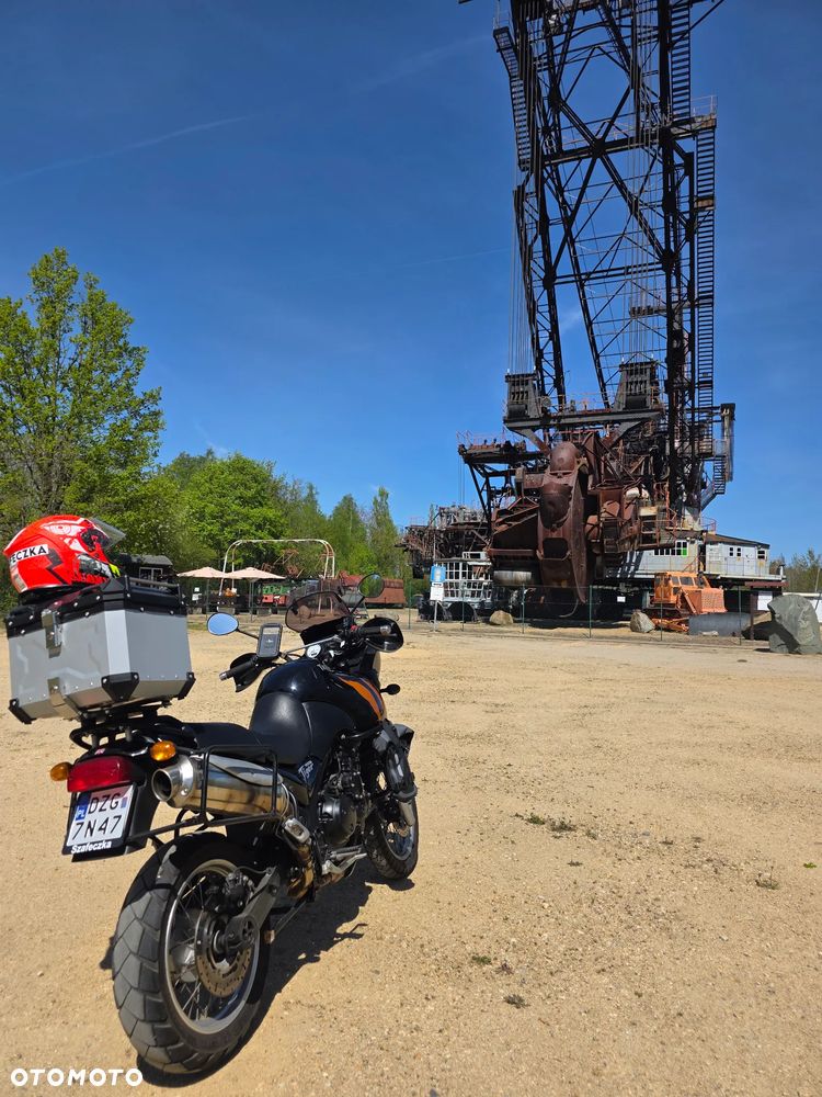 Triumph Tiger - 5