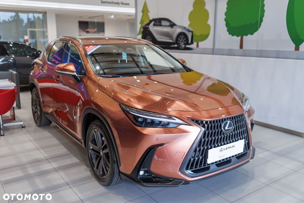 Lexus NX - 3