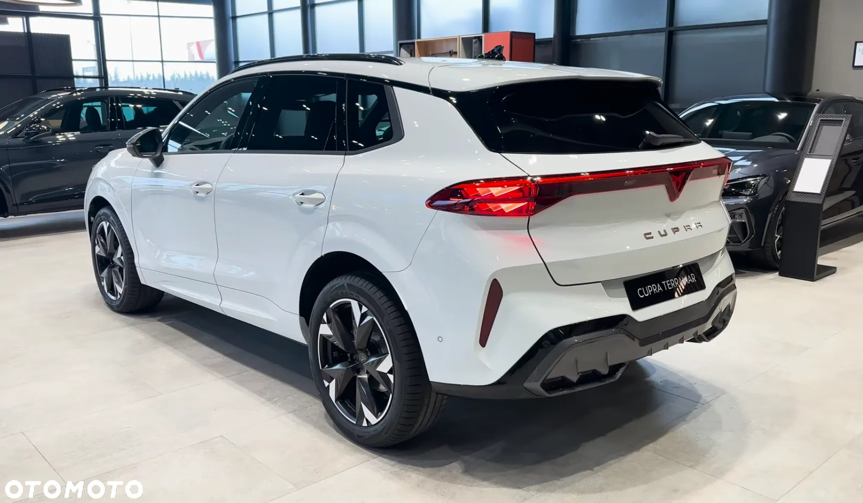 Cupra Terramar 2.0 TSI 4Drive DSG - 3