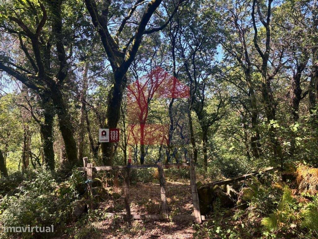Terreno agrícola, Duas Igrejas - Grande imagem: 2/19