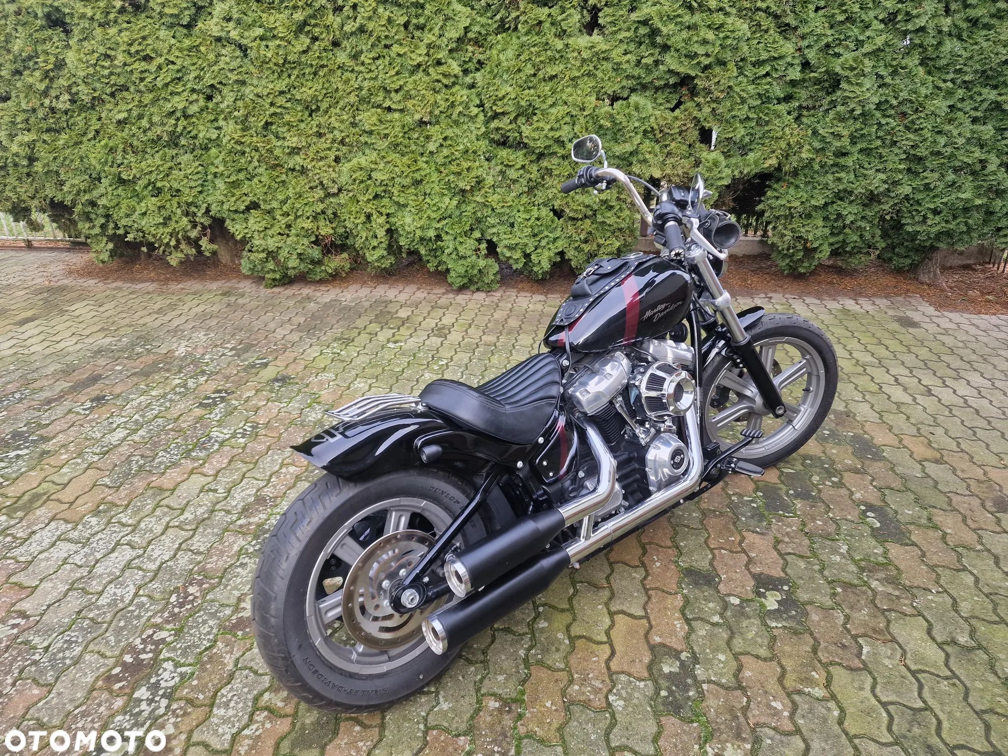 Harley-Davidson Softail - 1