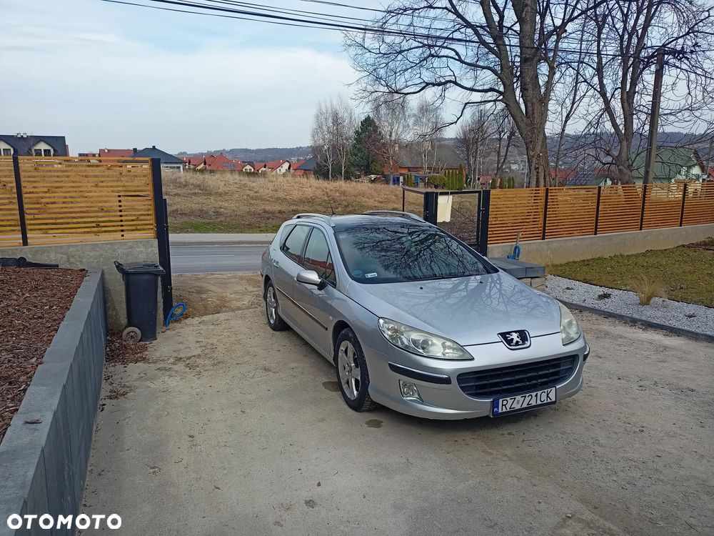 Peugeot 407 - 18