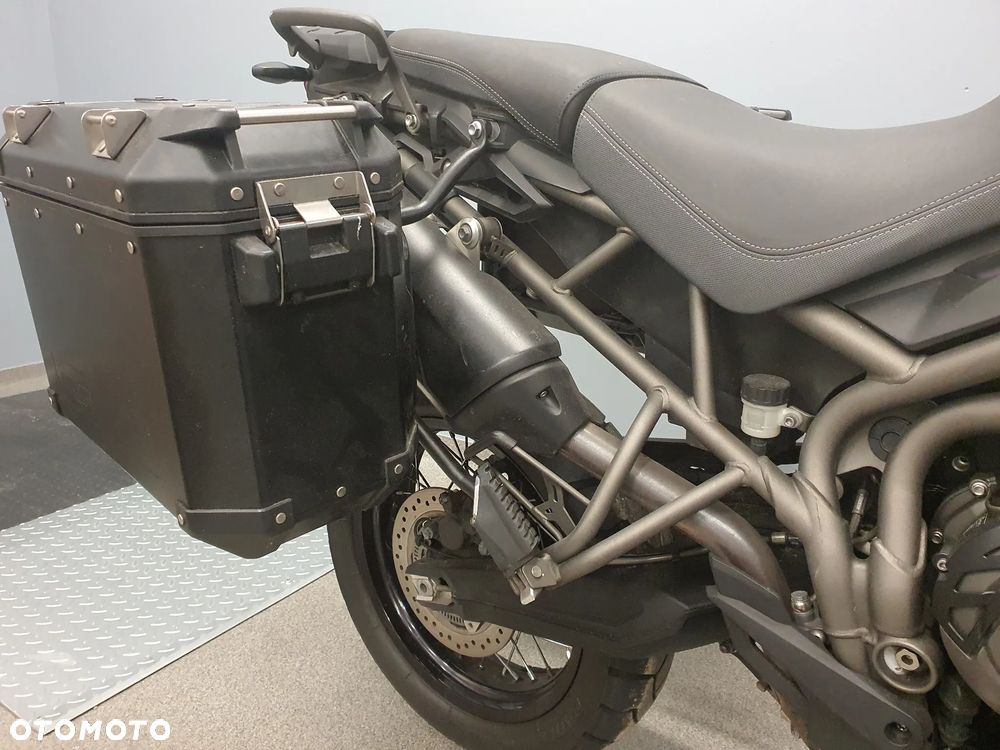 Triumph Tiger - 6