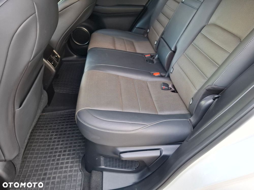 Lexus NX 300 GPF F Sport Edition AWD - 18