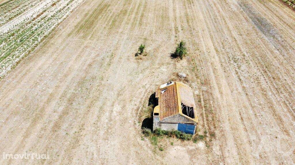 Quinta T2 em Almeirim de 100,00 m2 - Grande imagem: 3/15