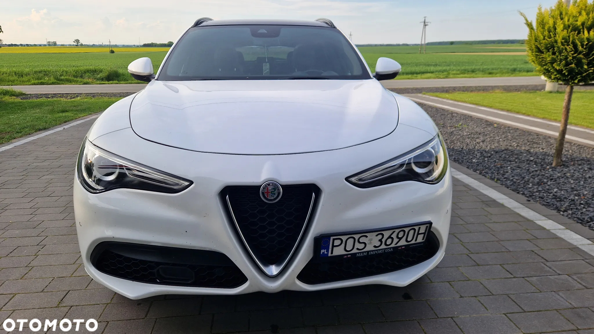 Alfa Romeo Stelvio 2.0 Turbo TI Q4 - 15