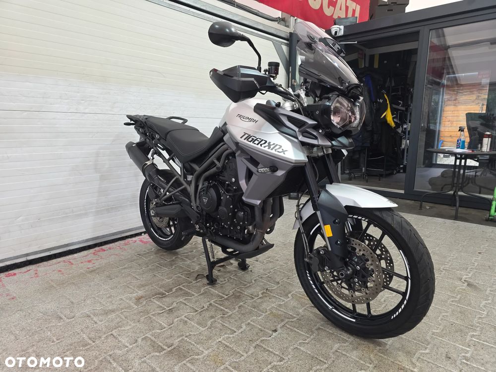 Triumph Tiger - 3