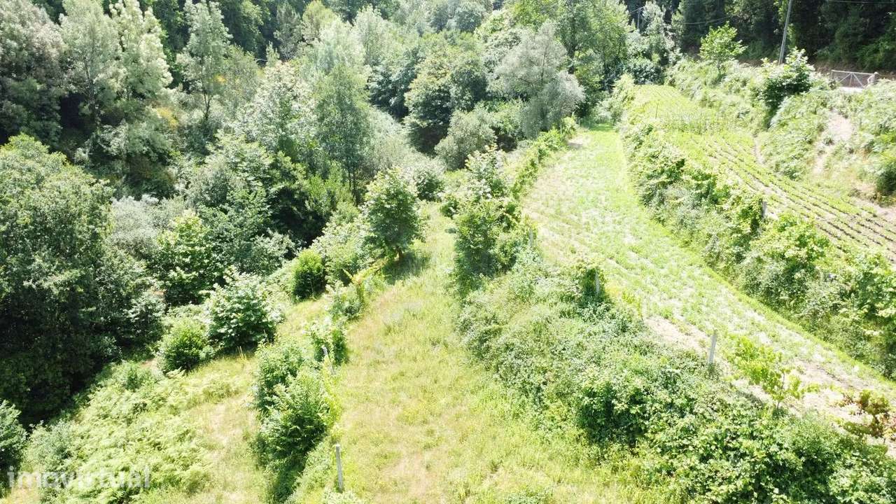 Terreno Agrícola com 5.695 m² em Chorense – Terras de Bouro - Grande imagem: 4/10