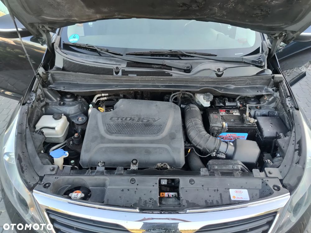 Kia Sportage - 37