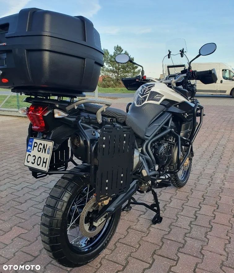 Triumph Tiger - 31