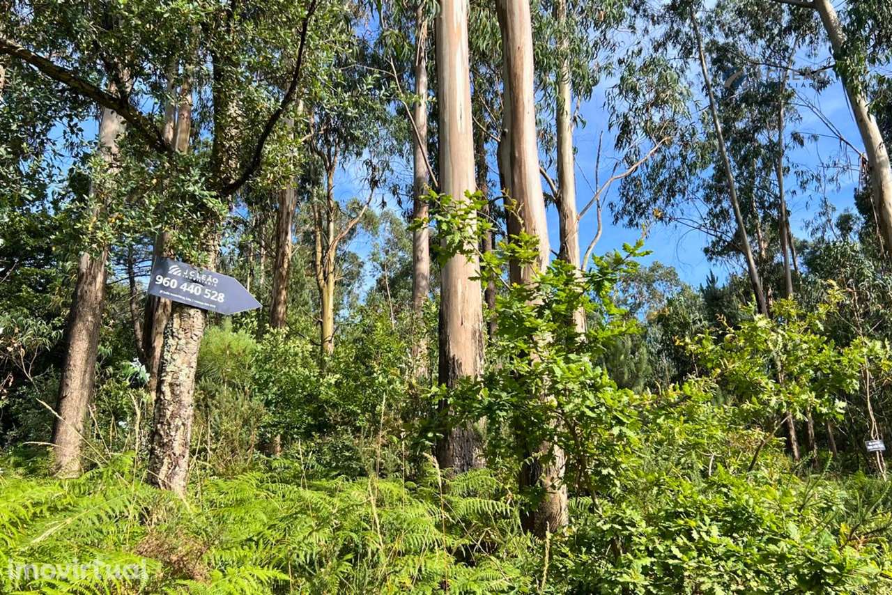 Terreno Rústico com 4640m2 em Lamoso, Paços de Ferreira - Grande imagem: 2/14