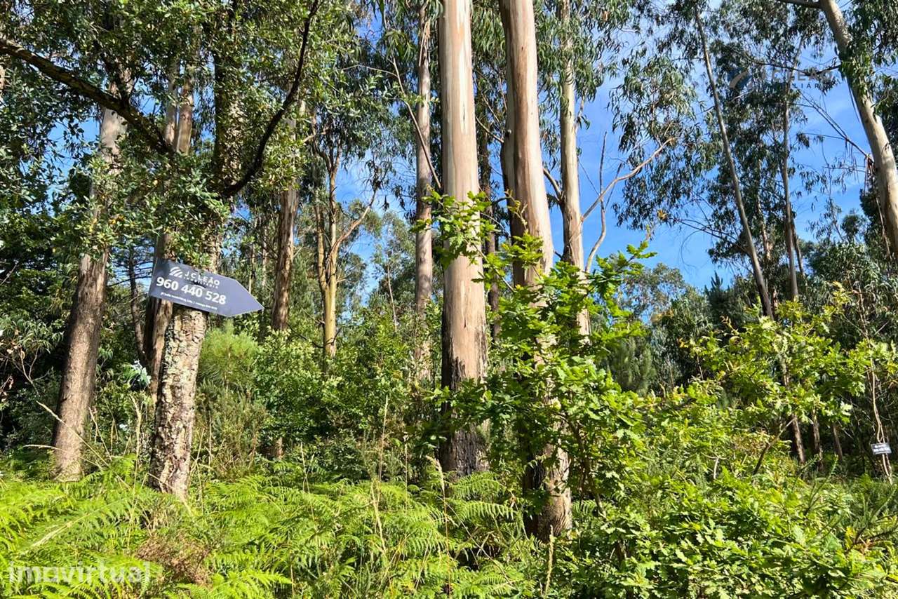 Terreno Rústico com 4640m2 em Lamoso, Paços de Ferreira - Grande imagem: 2/13